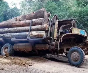 جا به جایی جانکاه؛ راننده احمق انداخت جاده ای که حدی ازش نمیره گیر گرد