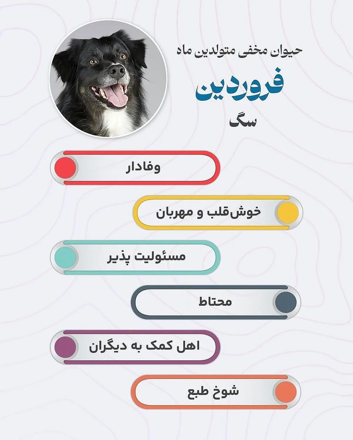 حیوان هر ماه