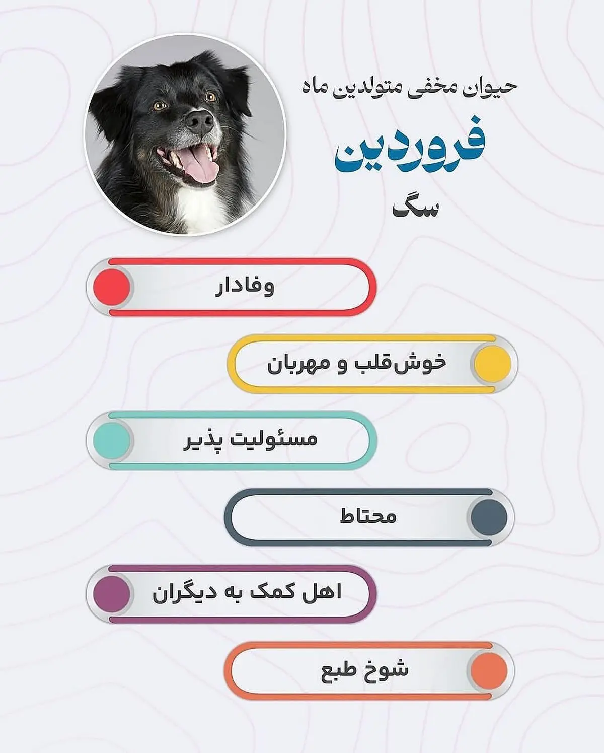 حیوان هر ماه