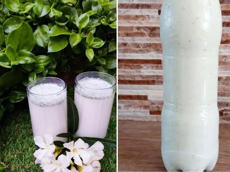 طرز تهیه دوغ گازدار خانگی فقط با سه قلم مواد؛ گازدار تر و گوارا تر از آبعلی
