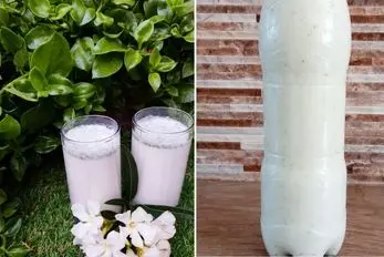 طرز تهیه دوغ گازدار خانگی فقط با سه قلم مواد؛ گازدار تر و گوارا تر از آبعلی