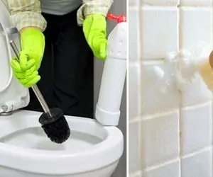 برق انداختن سرویس بهداشتی با مواد طبیعی / ترفندهای عالی برای تمیز کردن توالت و روشویی
