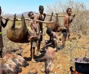 کباب گراز؛ بربرهای برهنه با قمه پوست گراز نحیف و جدا کردن گوشتشو به نیش کشیدن