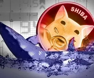 نهنگ های شیبا اینو در عرض چند روز گل کاشتند!