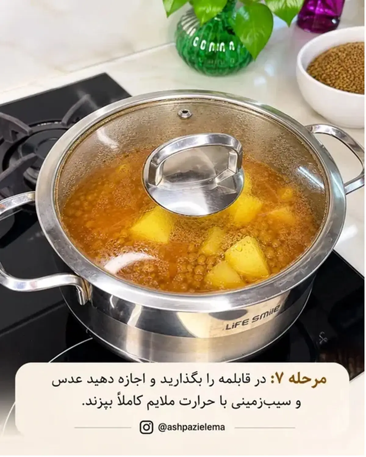 عدسی 7