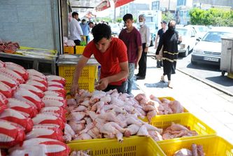 چه شد که قیمت مرغ به کیلویی ۱۰۰ هزار تومان رسید؟