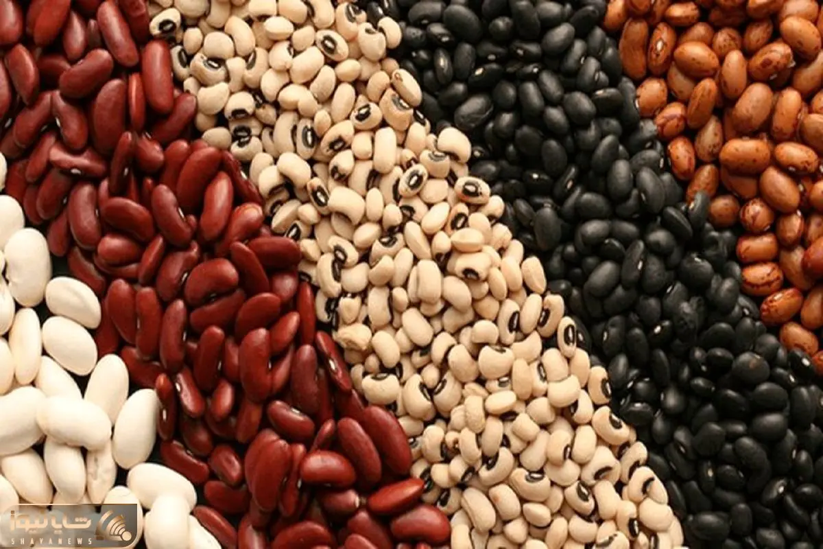 برنامه‌ دولت برای افزایش عرضه حبوبات؛ قیمت هر کیلو لوبیا نصف قیمت گوشت