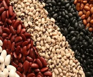 برنامه‌ دولت برای افزایش عرضه حبوبات؛ قیمت هر کیلو لوبیا نصف قیمت گوشت