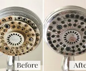 ترفندهای جواب برای رسوب زدایی دوش حمام/ سوراخای سر دوش یکی در میون کار میکنن غلط کردن