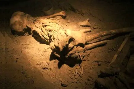 رموز کهن؛ باستان شناسان گور انسانهای نخستین را کشف کردند؛آنچه که دیدند باورکردنی نیست
