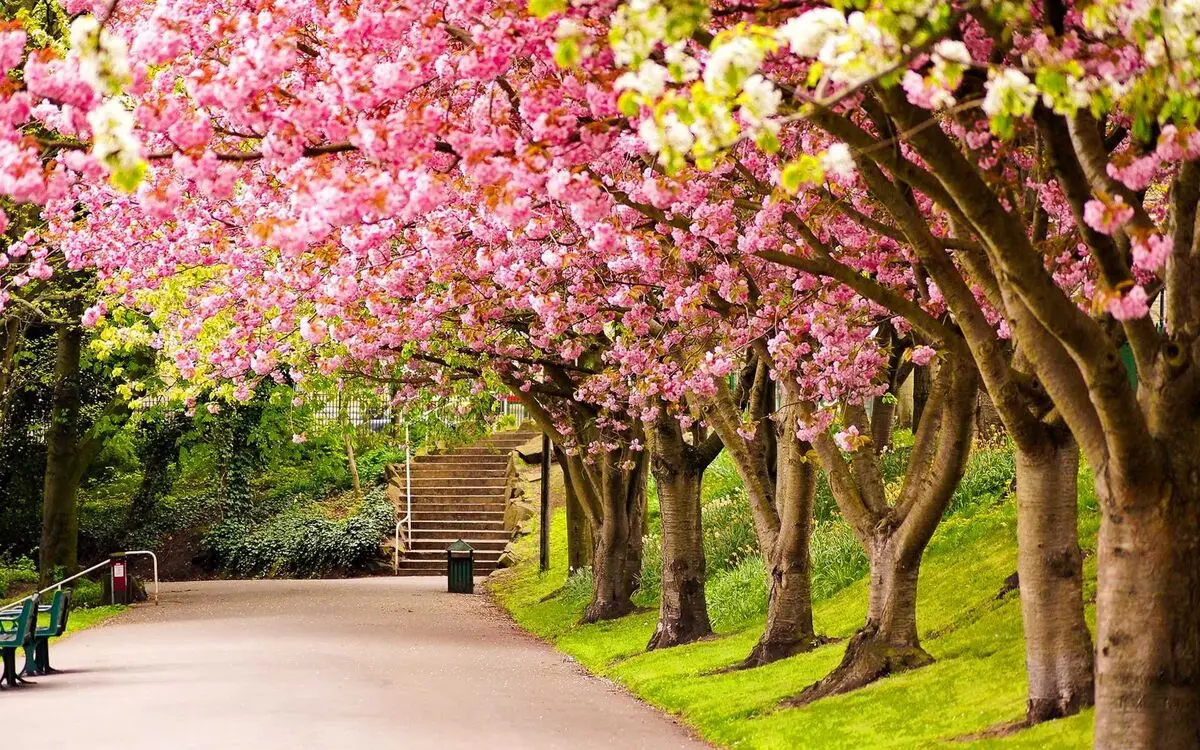تعبیرخواب بهار