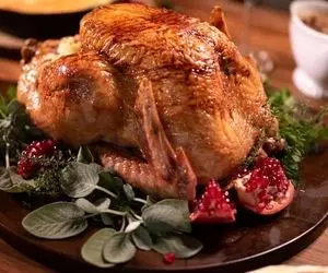 9 غذای خوشمزه که میتوانید با گوشت بوقلمون تهیه کنید