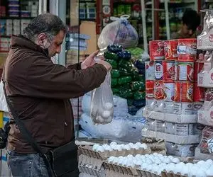 قیمت جدید تخم‌مرغ در بازار اعلام شد