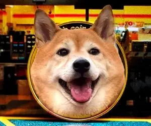 بررسی و پیش بینی شیبااینو!