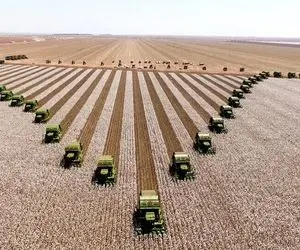 کشاورزی مدرن؛ ۷ مزرعه غول‌آسا که غذای نصف دنیا رو میدن