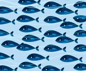 بازی فکری؛ اگه با باهوشا دل میدی و قلوه میگیری ماهی مرده رو پیدا کن