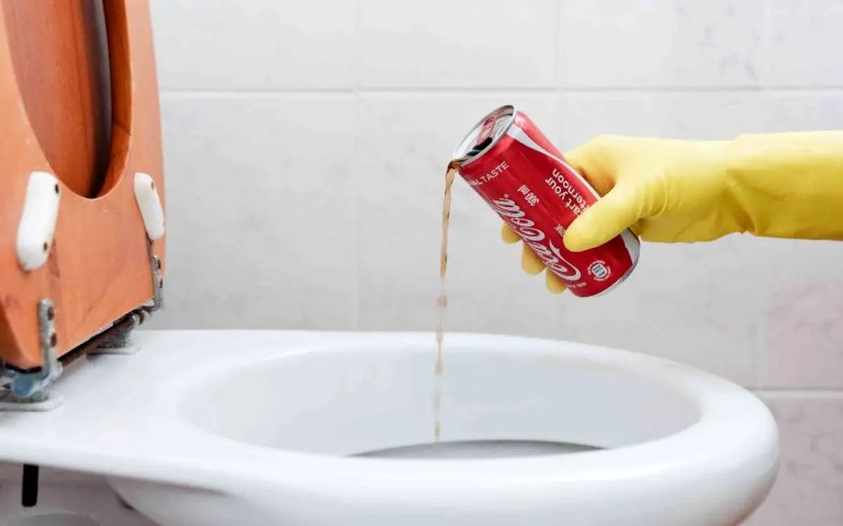 clean-toilet-with-soda-2