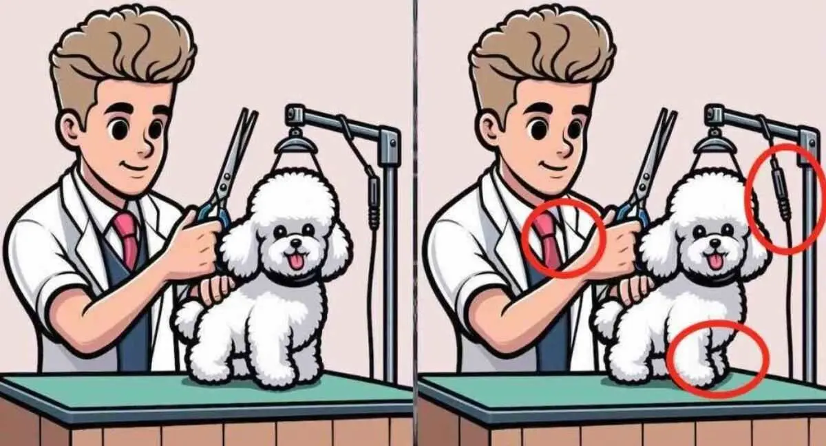 tricky-iq-brain-puzzle-spot-the-difference-with-answers