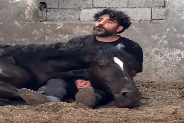 آوازخوانی مردی با صدای بهشتی که کاری کرد اسب بی حرکت در آغوشش آرام بگیرد