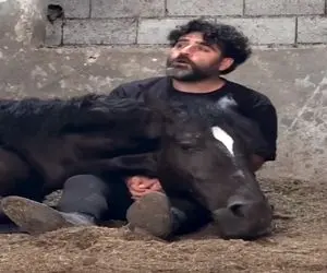 آوازخوانی مردی با صدای بهشتی که کاری کرد اسب بی حرکت در آغوشش آرام بگیرد