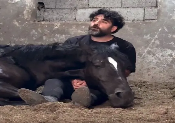 آوازخوانی مردی با صدای بهشتی که کاری کرد اسب بی حرکت در آغوشش آرام بگیرد