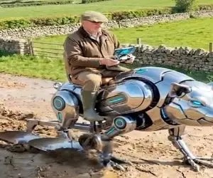 کشاورزی نوین؛ خوک شخم زن ساختن سوارش میشن عین موتور زمینو رنده میکنه