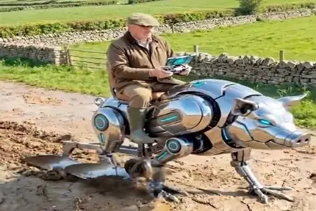 کشاورزی نوین؛ خوک شخم زن ساختن سوارش میشن عین موتور زمینو رنده میکنه