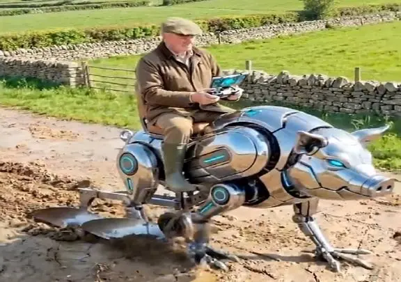 کشاورزی نوین؛ خوک شخم زن ساختن سوارش میشن عین موتور زمینو رنده میکنه