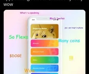 شیبااینو در زیباترین موقعیت قرار گرفت؟