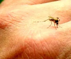 تب جدی یک بیماری واگیر در راه تهران