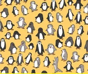 بازی فکری؛ روباه حیله گر مکار رو از بین 100000000پنگوئن پیدا کن بگو چند مرد حلاجی