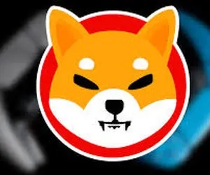 پیشگویی مهم از شیبااینو را جدی بگیرید!!