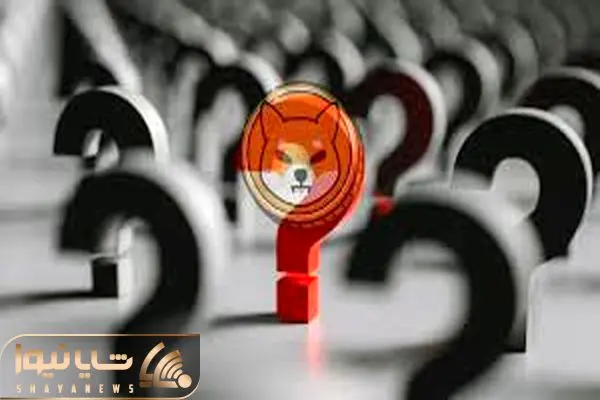 shibainu