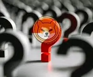 اتفاق جدیدی که برای  شیبااینو رخ داده است؟