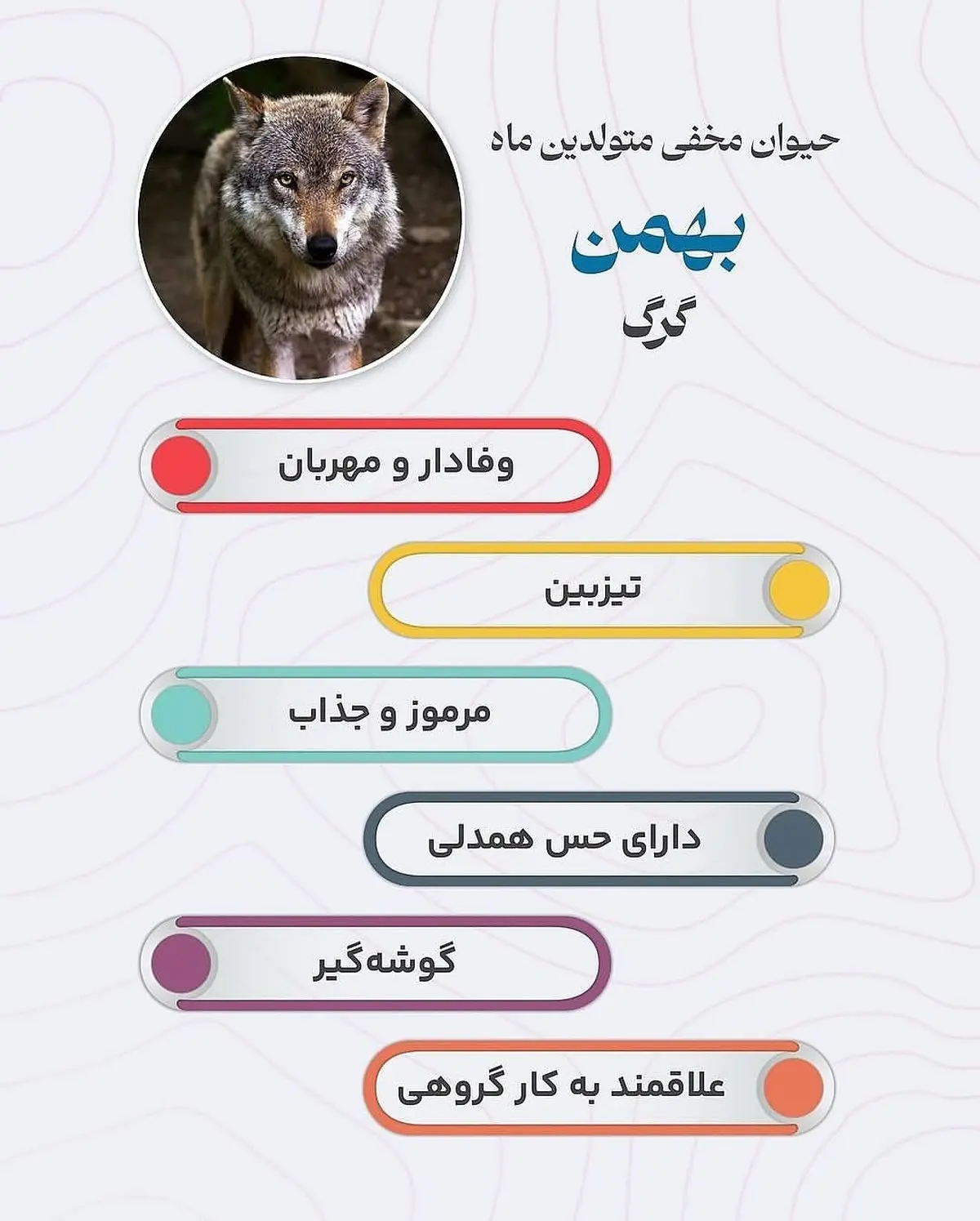 حیوان هر ماه