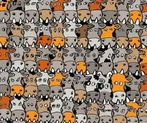 بازی فکری؛ اگه بتونی بین یه گله گاو 50000تایی سگ رو پیدا کنی دستمریزاد