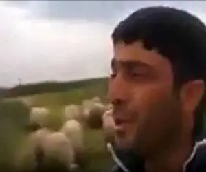 آواز محلی؛ چوپان به یاد عشقش ترکی اونوتمام سنی خوند یهو به خودت میای میبینی گریه کردی