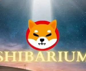 خبرهای خوب برای شیبااینو در راه است؟