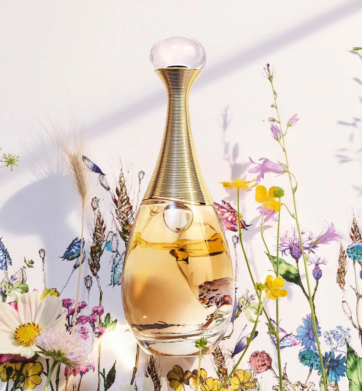 عطر های محبوب برای خانم ها
