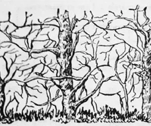 بازی فکری؛ برای پیدا کردن همه حیوانات پنهان شده به چشم و مغز یک ابررایانه نیاز دارید.