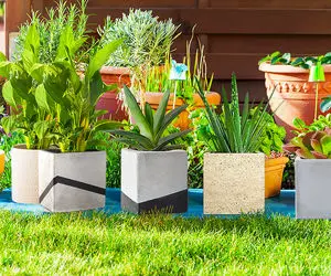 ایده های خلاقانه؛ چجوری با سبد پلاستیکی گلدون های سیمانی خوشگل درست کنیم؟ بیا تا بگم