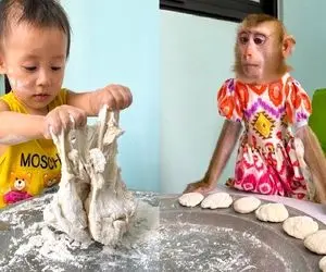 فسقلی خمیر ورز میده تا برای میمون کیک درست کنه؛ میمون چه قرتیه و لاک زده است!