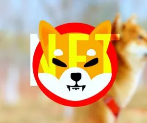 تیم شیبااینو در حماسه ای عجیب!!