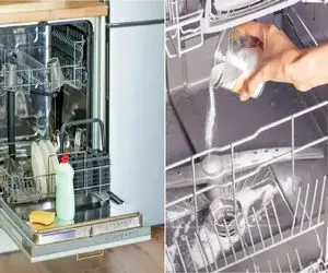 رازهای نگهداری از ماشین ظرفشویی/ با این ترفندها ماشینت سال ها کار میکنه آخ نمیگه