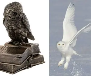 در باور ایرانیان باستان جغد شوم نیست؛ چه بر سر این باور آمد