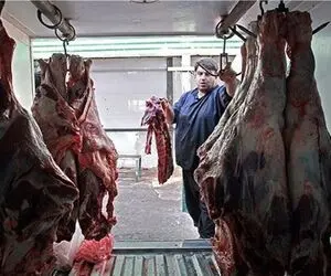 قیمت دام زنده امروز ۳۱فروردین ۱۴۰۴/ گوسفند زنده در پایتخت چند؟