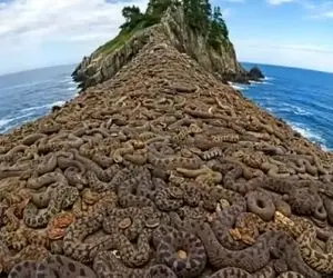 کاوش در طبیعت؛ خطرناک ترین جای جهان مثلث برمودا نیست اینجا پوست انسان با تنفسش میریزه