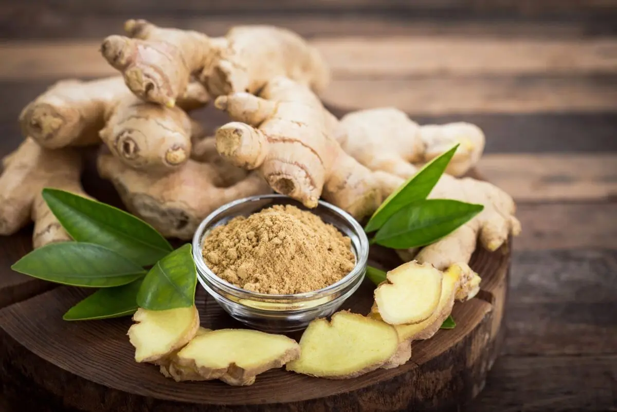 981579_500