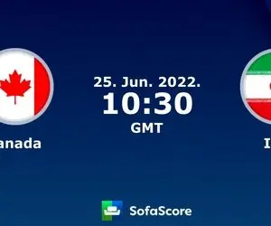 مسئولان فدراسیون در بیزینس کلاس؛ بازی ایران و کانادا روی هوا!