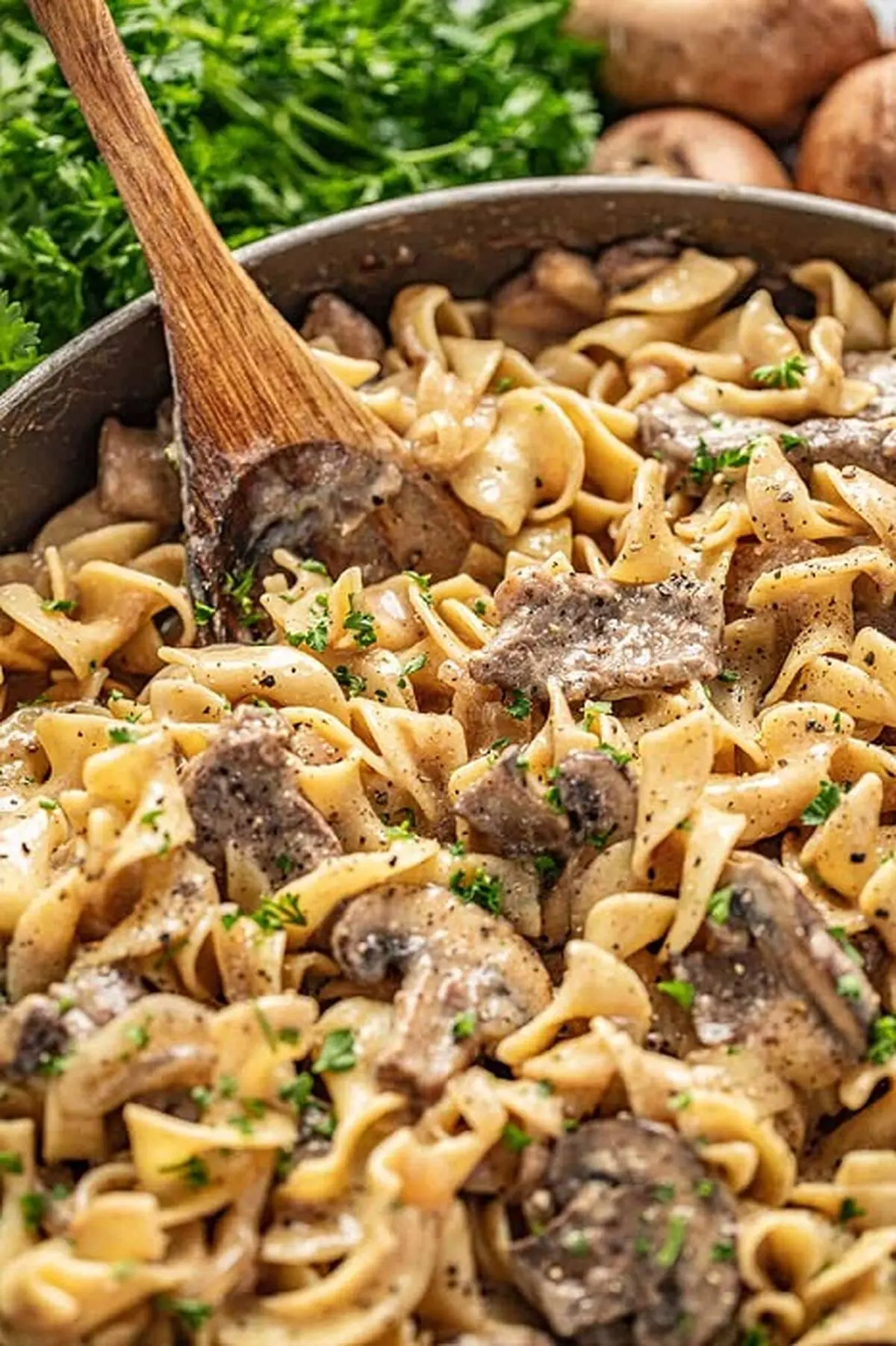 طرز تهیه بیف استراگانوف